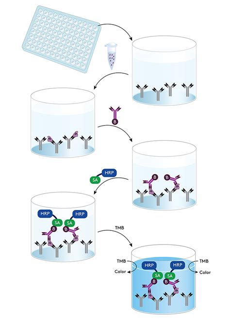 host cell protein elisa kits